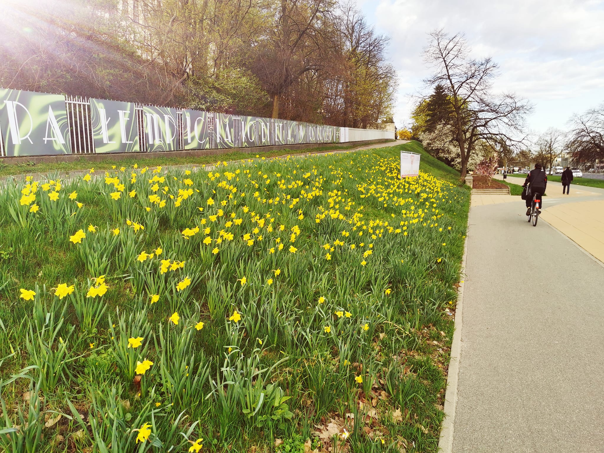 Ogólnopolska akcja „Pola Nadziei”
