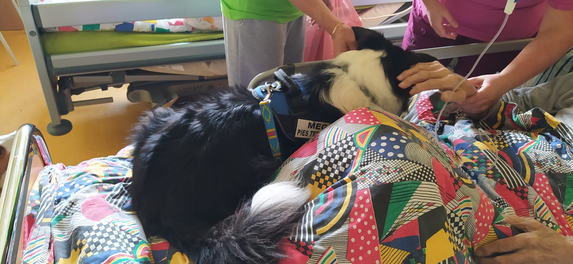 Dogoterapia w naszym Hospicjum